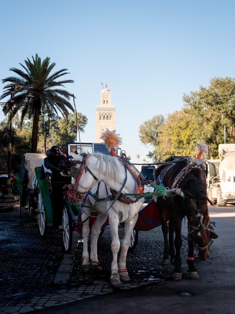 Grand Tour Maroc 17 jours — Villes impériales, désert, Atlas, côte