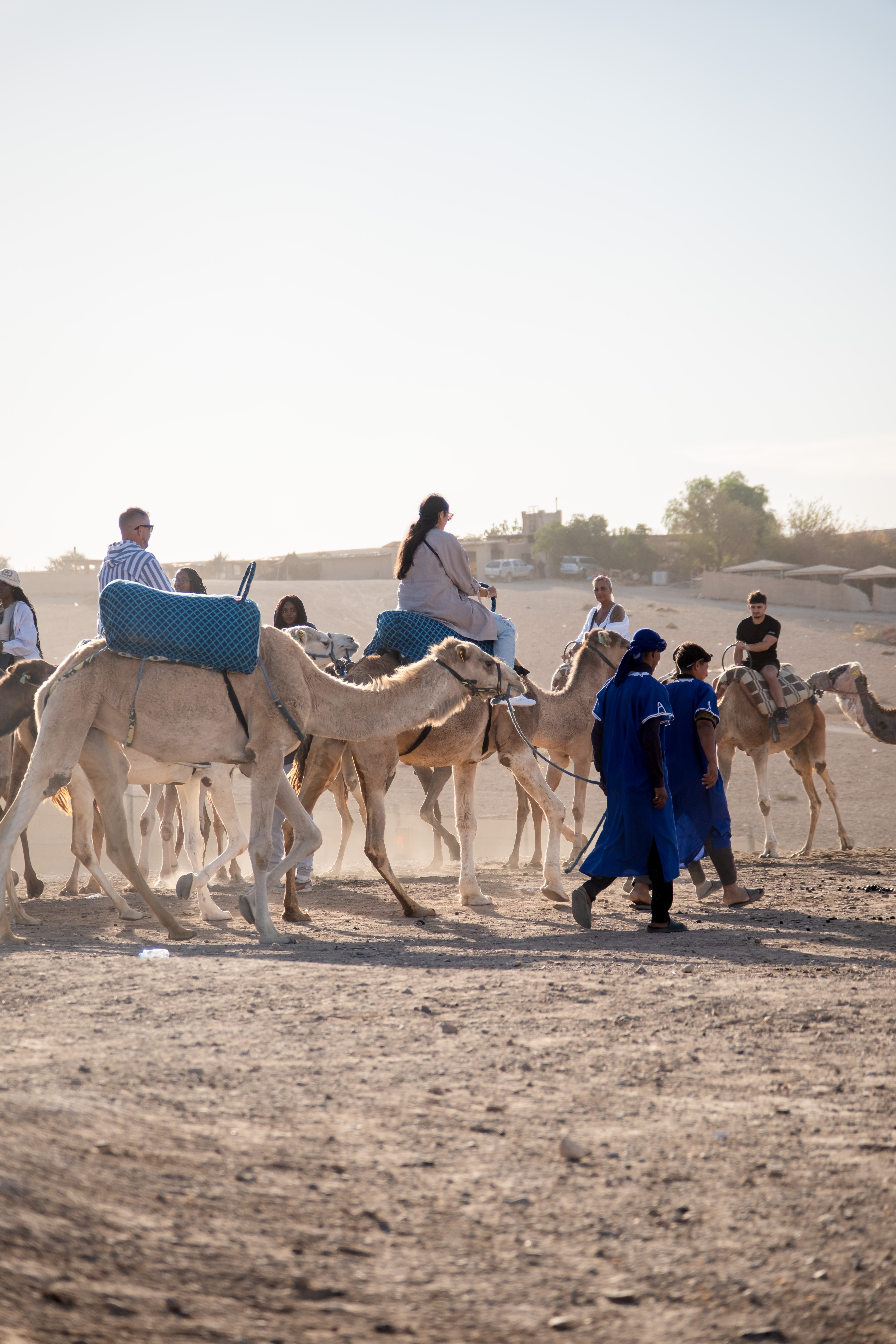 Balade à dos de dromadaire — Désert Agafay, Merzouga & Zagora