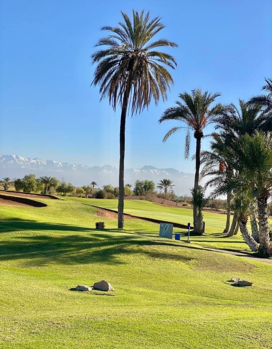 Golf Amlkis