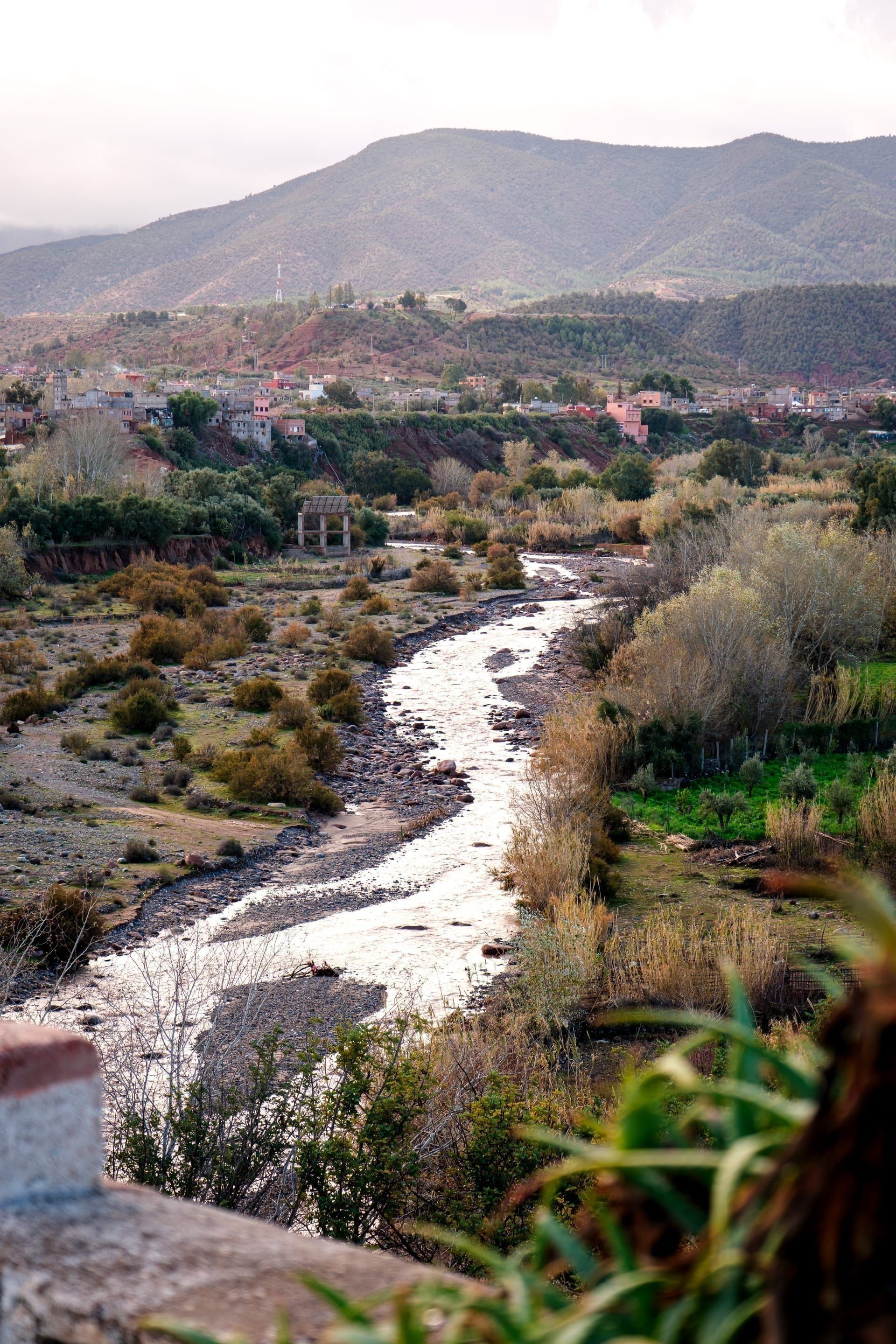 La rivière et les cultures en fond de vallée, au pied du Haut Atlas