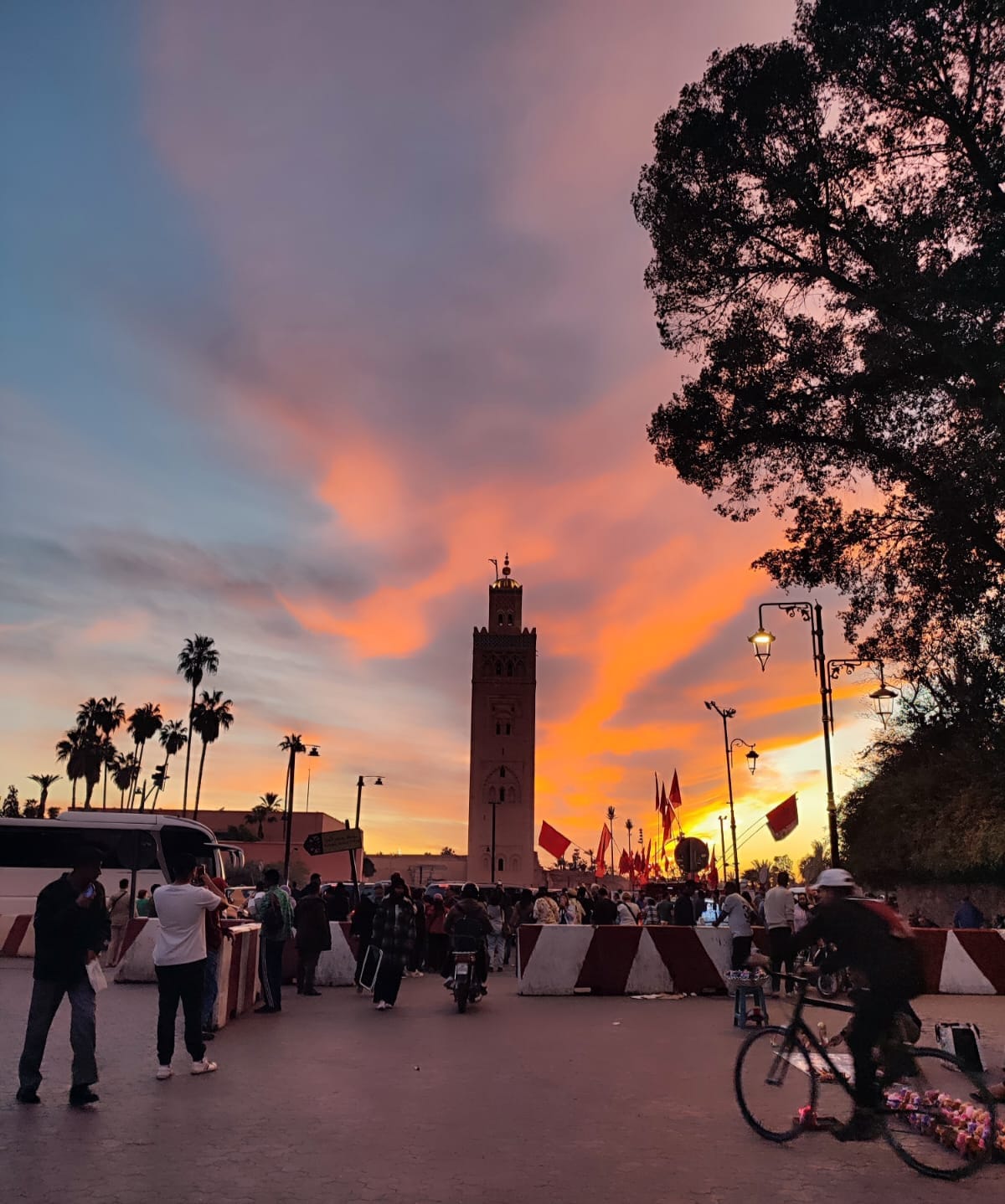 Visite guidée médina — Marrakech, Fès & Chefchaouen