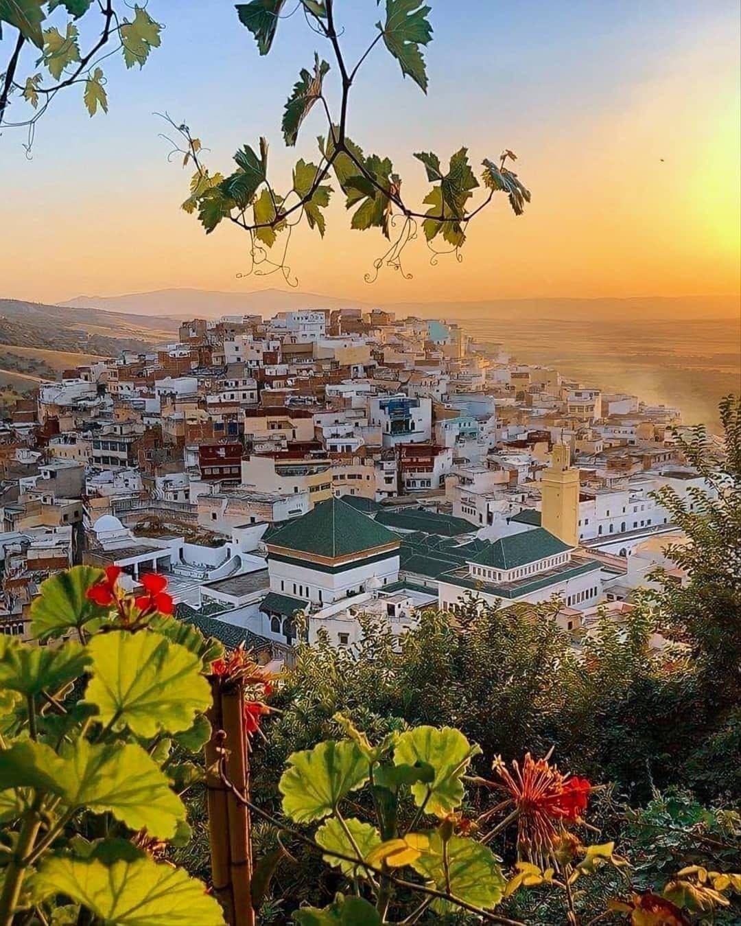 Meknès